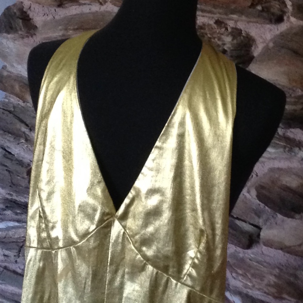 Gold Lame - Picture 6 of 9